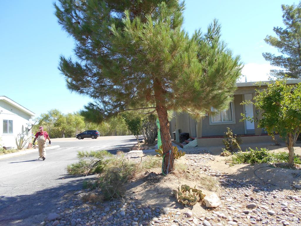 Atomic Inn Beatty Near Death Valley Exterior photo